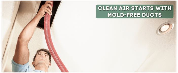 Air Duct Mold Removal in Evanston IL