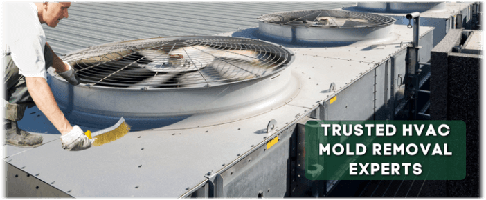 HVAC Mold Removal Evanston IL